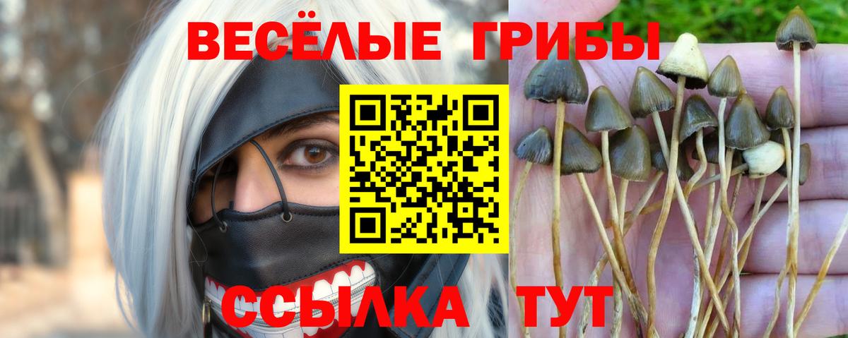 Галлюциногенные грибы MAGIC MUSHROOMS  Вход с VPN  где купить наркотик  Ленинск-Кузнецкий 
